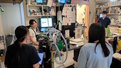 動物病院　いなみ動物病院