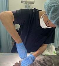 獣医　ASAH 藤本鉄兵