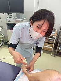 愛玩動物看護師　ASAH 大西一恵　麻酔