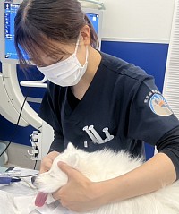 獣医　ASAH 岡田岬　麻酔