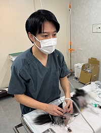 獣医　ASAH 宮本拓弥　麻酔