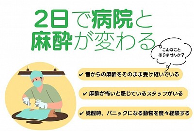 獣医　動物病院　獣医麻酔外科学会　愛玩動物看護師