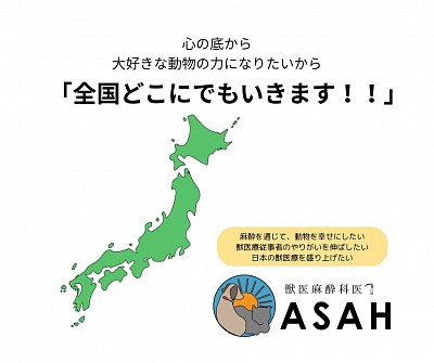 獣医麻酔外科学会　獣医　愛玩動物看護師　麻酔